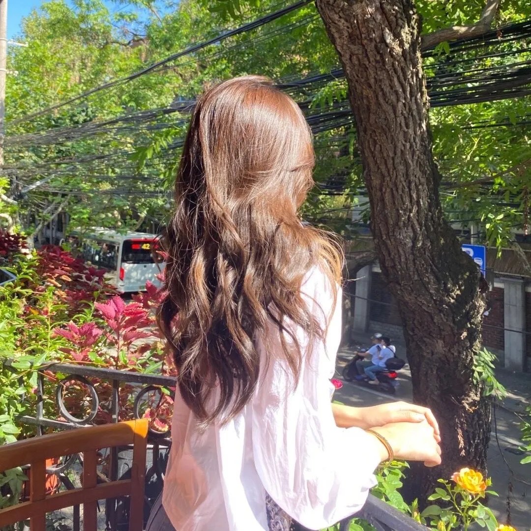 战地黄花分外香